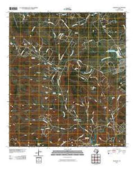 Nameless Texas Historical topographic map, 1:24000 scale, 7.5 X 7.5 Minute, Year 2010