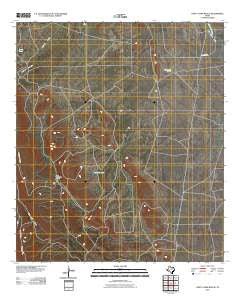 Nancy Anne Ranch Texas Historical topographic map, 1:24000 scale, 7.5 X 7.5 Minute, Year 2010