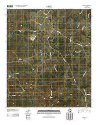Naruna Texas Historical topographic map, 1:24000 scale, 7.5 X 7.5 Minute, Year 2010