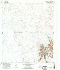 Nations East Well Texas Historical topographic map, 1:24000 scale, 7.5 X 7.5 Minute, Year 1995