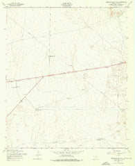 Nations South Well Texas Historical topographic map, 1:24000 scale, 7.5 X 7.5 Minute, Year 1955