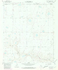 Nazareth NW Texas Historical topographic map, 1:24000 scale, 7.5 X 7.5 Minute, Year 1966