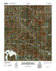 Necessity Texas Historical topographic map, 1:24000 scale, 7.5 X 7.5 Minute, Year 2010