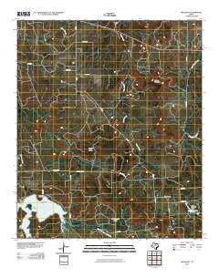 Necessity Texas Historical topographic map, 1:24000 scale, 7.5 X 7.5 Minute, Year 2010