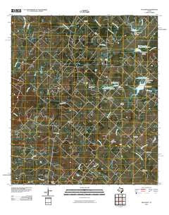 Nechanitz Texas Historical topographic map, 1:24000 scale, 7.5 X 7.5 Minute, Year 2010