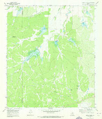 Needle Creek Texas Historical topographic map, 1:24000 scale, 7.5 X 7.5 Minute, Year 1970