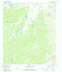Needle Creek Texas Historical topographic map, 1:24000 scale, 7.5 X 7.5 Minute, Year 1970