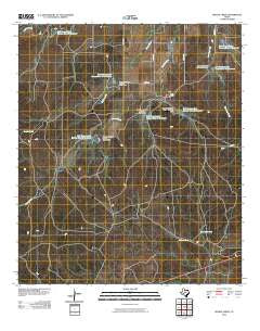 Needle Creek Texas Historical topographic map, 1:24000 scale, 7.5 X 7.5 Minute, Year 2010