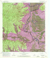 Negreet SW Texas Historical topographic map, 1:24000 scale, 7.5 X 7.5 Minute, Year 1954