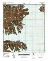 Negreet SW Texas Historical topographic map, 1:24000 scale, 7.5 X 7.5 Minute, Year 2010