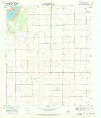New Lynn Texas Historical topographic map, 1:24000 scale, 7.5 X 7.5 Minute, Year 1970
