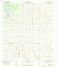 New Moore Texas Historical topographic map, 1:24000 scale, 7.5 X 7.5 Minute, Year 1969