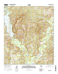 New Salem Texas Current topographic map, 1:24000 scale, 7.5 X 7.5 Minute, Year 2016
