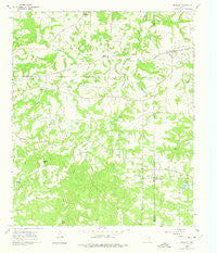 Newsome Texas Historical topographic map, 1:24000 scale, 7.5 X 7.5 Minute, Year 1960