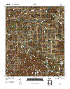 Newsome Texas Historical topographic map, 1:24000 scale, 7.5 X 7.5 Minute, Year 2010