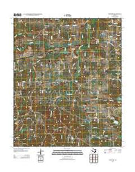 Newsome Texas Historical topographic map, 1:24000 scale, 7.5 X 7.5 Minute, Year 2012