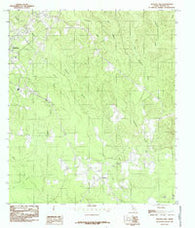 Newton East Texas Historical topographic map, 1:24000 scale, 7.5 X 7.5 Minute, Year 1984
