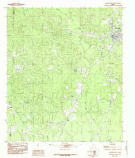 Newton West Texas Historical topographic map, 1:24000 scale, 7.5 X 7.5 Minute, Year 1984