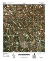 Newton East Texas Historical topographic map, 1:24000 scale, 7.5 X 7.5 Minute, Year 2010
