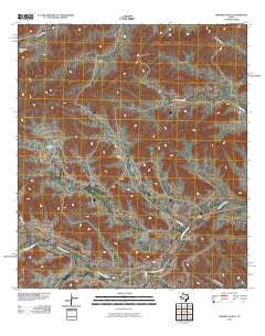 Ninemile Ranch Texas Historical topographic map, 1:24000 scale, 7.5 X 7.5 Minute, Year 2010