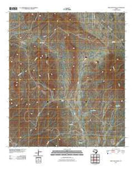 Ninetysix Ranch Texas Historical topographic map, 1:24000 scale, 7.5 X 7.5 Minute, Year 2010