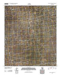 North Cowden NW Texas Historical topographic map, 1:24000 scale, 7.5 X 7.5 Minute, Year 2010