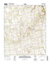 Northside Texas Current topographic map, 1:24000 scale, 7.5 X 7.5 Minute, Year 2016