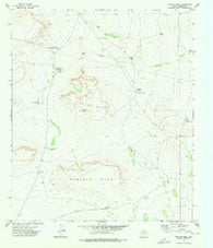 Norton Mesa Texas Historical topographic map, 1:24000 scale, 7.5 X 7.5 Minute, Year 1973