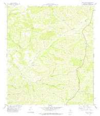 Open Hollow Texas Historical topographic map, 1:24000 scale, 7.5 X 7.5 Minute, Year 1978
