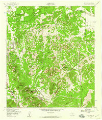 Otis Ridge Texas Historical topographic map, 1:24000 scale, 7.5 X 7.5 Minute, Year 1953