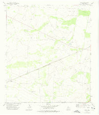 Owego Texas Historical topographic map, 1:24000 scale, 7.5 X 7.5 Minute, Year 1972