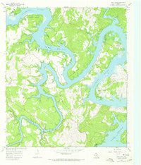 Pace Bend Texas Historical topographic map, 1:24000 scale, 7.5 X 7.5 Minute, Year 1967