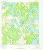 Pace Bend Texas Historical topographic map, 1:24000 scale, 7.5 X 7.5 Minute, Year 1967