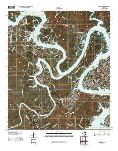Pace Bend Texas Historical topographic map, 1:24000 scale, 7.5 X 7.5 Minute, Year 2010
