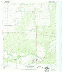 Paint Rock Texas Historical topographic map, 1:24000 scale, 7.5 X 7.5 Minute, Year 1967