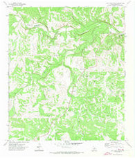 Paint Rock Spring Texas Historical topographic map, 1:24000 scale, 7.5 X 7.5 Minute, Year 1971