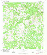 Paint Rock Spring Texas Historical topographic map, 1:24000 scale, 7.5 X 7.5 Minute, Year 1971