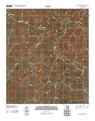 Paint Rock Spring Texas Historical topographic map, 1:24000 scale, 7.5 X 7.5 Minute, Year 2010