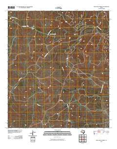 Paint Rock Spring Texas Historical topographic map, 1:24000 scale, 7.5 X 7.5 Minute, Year 2010