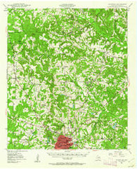 Palestine Texas Historical topographic map, 1:62500 scale, 15 X 15 Minute, Year 1949