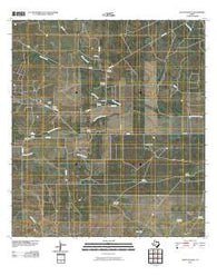 Palito Blanco Texas Historical topographic map, 1:24000 scale, 7.5 X 7.5 Minute, Year 2010