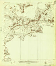 Palmito Hill Texas Historical topographic map, 1:24000 scale, 7.5 X 7.5 Minute, Year 1929
