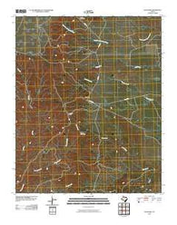 Paloduro Texas Historical topographic map, 1:24000 scale, 7.5 X 7.5 Minute, Year 2010