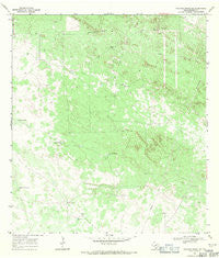 Palomas Ranch SE Texas Historical topographic map, 1:24000 scale, 7.5 X 7.5 Minute, Year 1968
