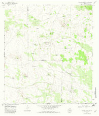 Palomas Ranch SW Texas Historical topographic map, 1:24000 scale, 7.5 X 7.5 Minute, Year 1968