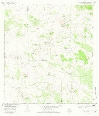 Palomas Ranch SW Texas Historical topographic map, 1:24000 scale, 7.5 X 7.5 Minute, Year 1968