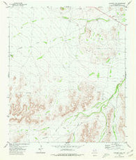 Panther Tank Texas Historical topographic map, 1:24000 scale, 7.5 X 7.5 Minute, Year 1980