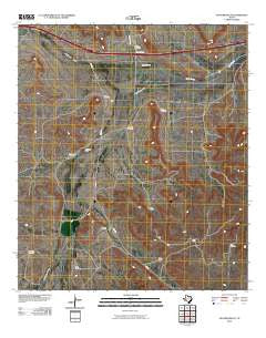 Panther Bluff Texas Historical topographic map, 1:24000 scale, 7.5 X 7.5 Minute, Year 2010