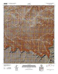 Panther Gulch West Texas Historical topographic map, 1:24000 scale, 7.5 X 7.5 Minute, Year 2010