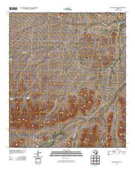 Panther Tank Texas Historical topographic map, 1:24000 scale, 7.5 X 7.5 Minute, Year 2010